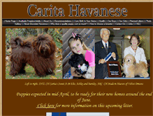 Tablet Screenshot of caritahavanese.com